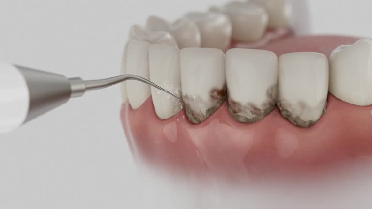 Reliable Dental contractor in Inverness Highlands South, FL by Dentist Open Now